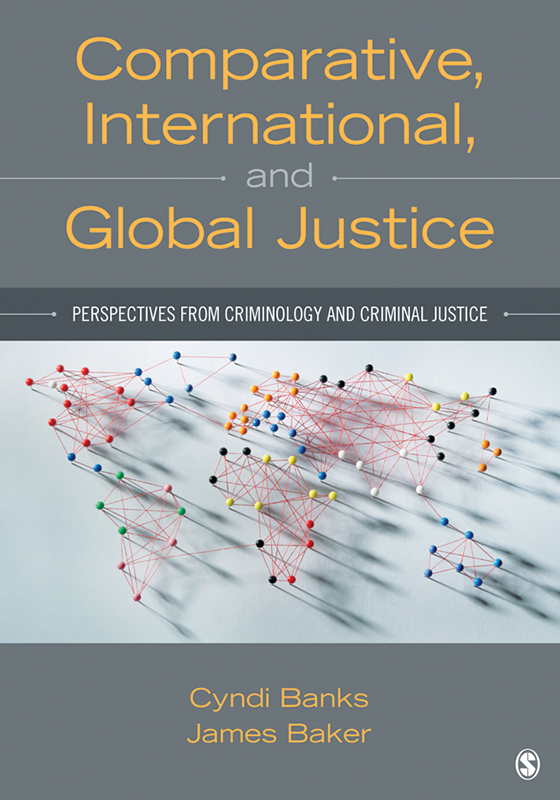 World Criminal Justice Systems: deals A Comparative Survey Ninth Edition by Terrill